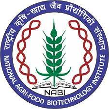 NABI Logo